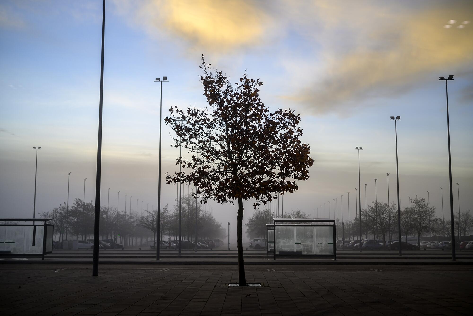 Niebla ave cuenca