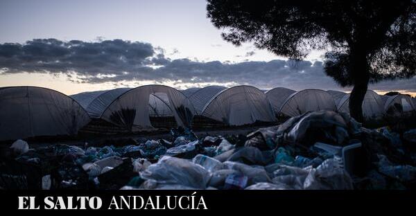 2.465 personas han muerto o desaparecido intentando llegar a territorio español en 2024