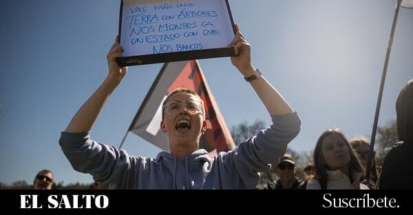 Galicia vuelve a la calle contra la celulosa de Altri, Greenalia y la Xunta: el desastre natural, en datos