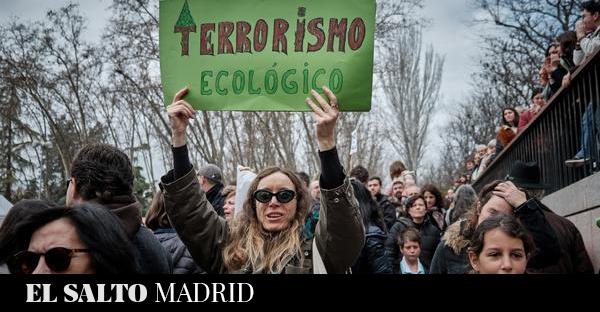 Ecología | 'No a la tala': la ciudadanía madrileña defiende los árboles de  Madrid Río - El Salto - Madrid