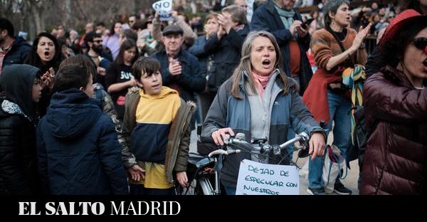 Ecología | Ayuso frena la tala de árboles de Madrid Río tras las protestas  pero persisten las dudas sobre el arboricidio - El Salto - Madrid