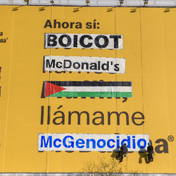 Boicot Mac Donalds Palestina - 8
