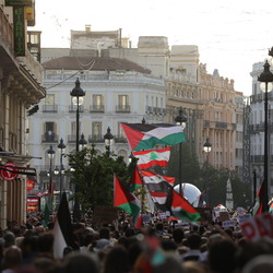 Free Palestine Puerta del Sol